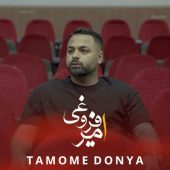 دانلود آهنگ امیر فروغی تموم دنیا